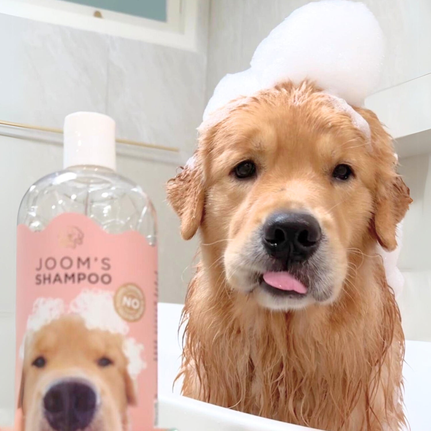 Pet Care