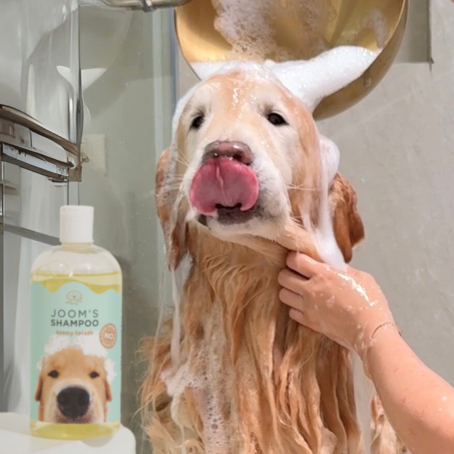 250ML. JOOM ' S SHAMPOO