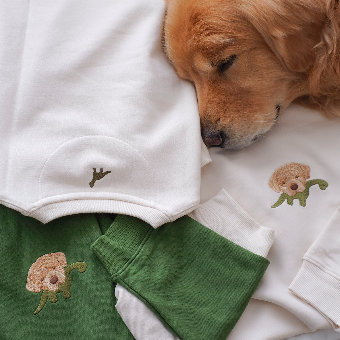 Sweater เสื้อกันหนาวแขนยาว ลายปักหน้าอกจุ๊มเหม่งคาบพี่ไดโน่ Unisex